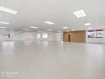 Pronájem obchodního prostoru, Opava, Rybářská, 160 m2