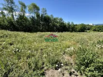 Prodej pozemku pro bydlení, Litvínov - Horní Litvínov, K Louce, 800 m2