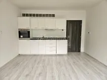 Pronájem bytu 1+kk, Frýdek-Místek - Místek, J. Opletala, 30 m2