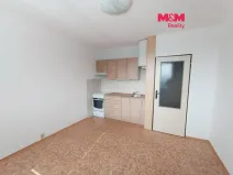 Pronájem bytu 1+1, Janov, 37 m2