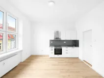 Pronájem bytu 1+kk, Ostrava, Tyršova, 19 m2