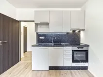 Pronájem bytu 1+kk, Praha - Libeň, V zahradách, 25 m2