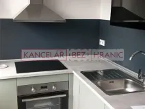 Pronájem bytu 1+1, Ostrava, U Haldy, 40 m2
