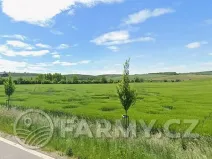 Prodej podílu pole, Čejkovice, 194311 m2