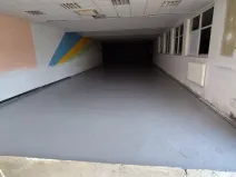Pronájem skladu, Litovel, Vítězná, 265 m2