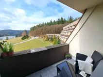 Prodej bytu 2+kk, Všemina, 46 m2