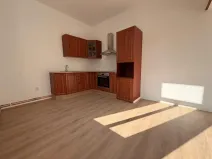 Pronájem bytu 2+kk, Ústí nad Labem - Ústí nad Labem-centrum, Moskevská, 45 m2
