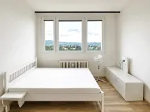 Pronájem bytu 1+kk, Brno, Halasovo náměstí, 26 m2