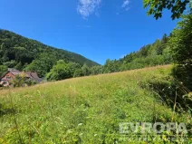 Prodej pozemku pro bydlení, Desná, okres jablonec nad nisou, Výletní, 6703 m2