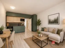 Pronájem bytu 1+kk, Plzeň - Jižní Předměstí, Železná, 38 m2