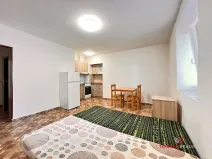 Pronájem bytu 1+kk, Hradec Králové - Plotiště nad Labem, 26 m2