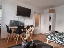 Pronájem bytu 1+kk, Pardubice - Polabiny, Brožíkova, 40 m2