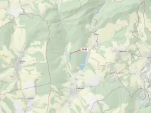 Dražba lesa, Ludkovice, 10351 m2