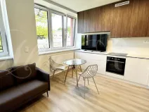 Pronájem bytu 1+kk, Brno - Štýřice, Sovinec, 30 m2