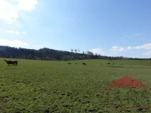 Prodej pozemku pro bydlení, Janovice nad Úhlavou, 4086 m2