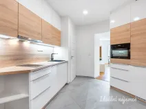 Pronájem bytu 1+kk, Praha - Podolí, 39 m2