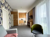 Prodej apartmánu, Dolní Morava, 46 m2