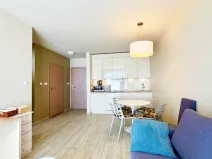 Prodej bytu 2+kk, Dolní Morava, 41 m2