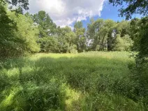 Prodej louky, Nové Hrady - Štiptoň, 4246 m2