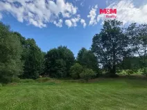 Prodej pozemku pro bydlení, Světlá Hora - Dětřichovice, 3506 m2