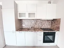 Pronájem bytu 1+kk, Praha - Žižkov, Olgy Havlové, 45 m2