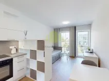Pronájem bytu 1+kk, Olomouc, Wittgensteinova, 27 m2