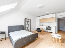 Pronájem bytu 1+kk, Praha - Karlín, Březinova, 38 m2