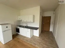 Pronájem bytu 1+1, Most, Marš. Rybalka, 35 m2