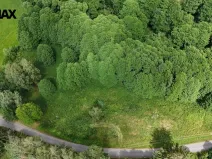 Prodej louky, Borušov, 6111 m2