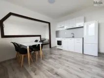 Pronájem bytu 1+1, Most, Růžová, 40 m2
