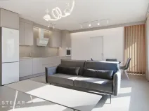 Pronájem bytu 2+kk, Ostrava - Moravská Ostrava, F. X. Riepla, 60 m2
