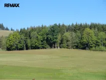 Prodej lesa, Hlavňovice, 28701 m2