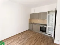 Pronájem bytu 1+kk, Praha - Libeň, V Holešovičkách, 26 m2