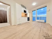 Pronájem bytu 1+kk, Brno, Provazníkova, 27 m2