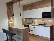 Pronájem bytu 1+kk, Opava, Císařského pluku, 41 m2