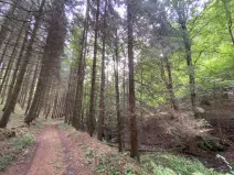 Prodej louky, Strážná, 2049 m2