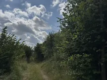 Prodej lesa, Bochovice, 13281 m2