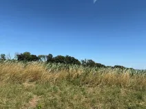 Prodej pole, Mohelnice nad Jizerou, 11600 m2