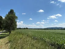 Prodej pozemku pro bydlení, Chocnějovice, 5604 m2