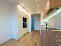 Pronájem bytu 1+1, Ostrava - Mariánské Hory, Slavníkovců, 31 m2