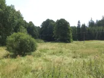 Prodej pole, Chodský Újezd - Nahý Újezdec, 13137 m2