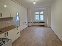 Pronájem bytu 1+1, Praha - Nusle, Na Jezerce, 49 m2