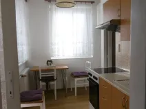 Pronájem bytu 1+1, Pardubice - Zelené Předměstí, Holcova, 33 m2