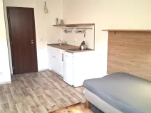 Pronájem bytu 1+kk, Znojmo, U Branky, 28 m2