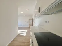Pronájem bytu 2+kk, Praha - Žižkov, Zelenky-Hajského, 44 m2