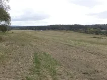 Prodej pole, Tachov, 842 m2
