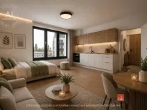 Pronájem bytu 1+kk, Plzeň - Jižní Předměstí, Železná, 38 m2
