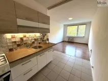 Pronájem bytu 2+kk, Most, Josefa Suka, 40 m2