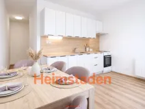 Pronájem bytu 2+1, Karviná - Nové Město, Holubova, 51 m2