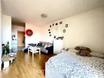 Prodej bytu 1+kk, Brno, U Leskavy, 35 m2